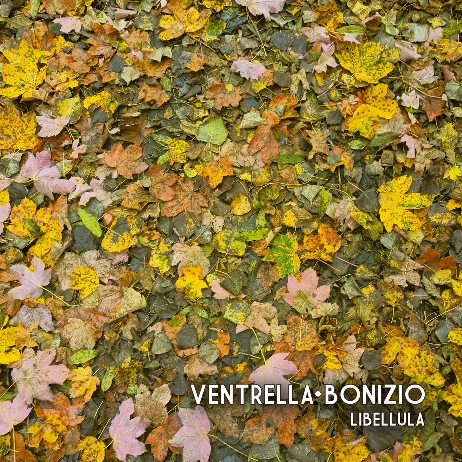 Copertina — Alberto Ventrella & Gigio Bonizio, "Libellula"
